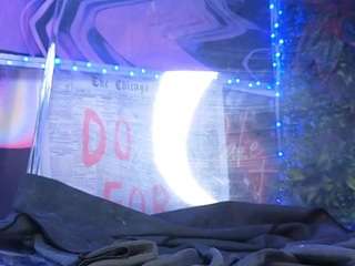 fairysquirt