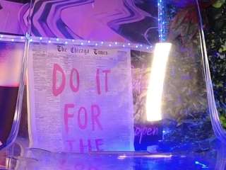 fairysquirt live