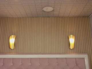 violeth-b Profile Image