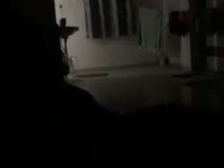 horneywolf34