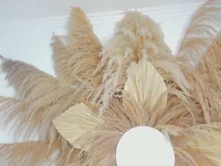 shakebigass webcam model