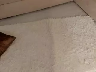 EdithHalsted's Live Sex Cam Show