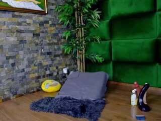 modelo webcam selensummer