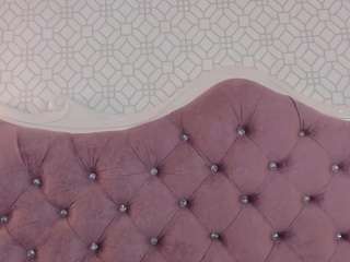 Lily Roxi