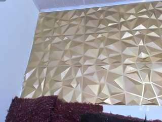 brier-angels webcam model