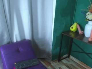evaa-grey webcam