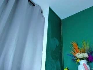 evaa-grey webcam