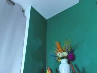 evaa-grey webcam