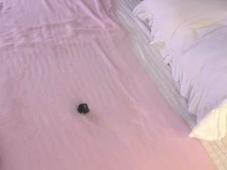 Ellie live webcam show