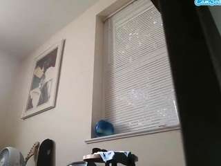 prolapsepiggy