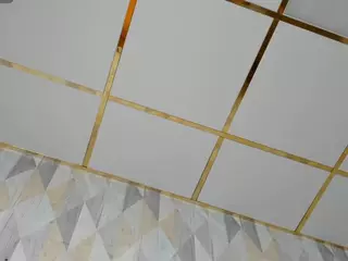 Emilia's Live Sex Cam Show