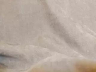 Emilia's Live Sex Cam Show