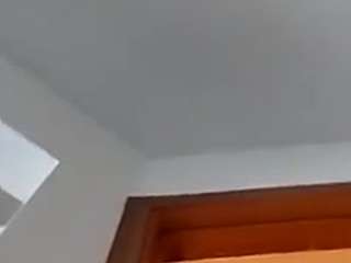 msbutterflies79