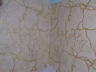 redbonelolly