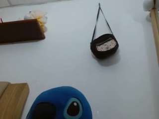 rosebigtits Live Webcam on {site_name}