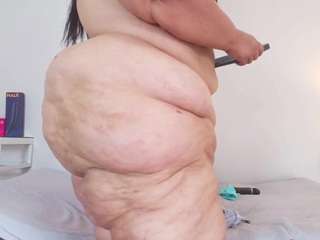 charlotte-curvy