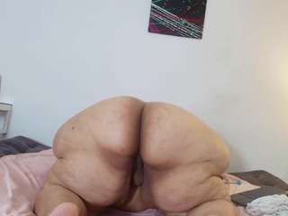 charlotte-curvy