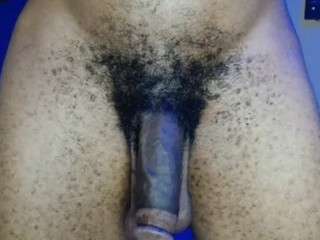 dick-herr7