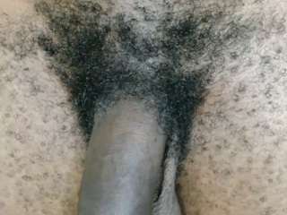 dick-herr7