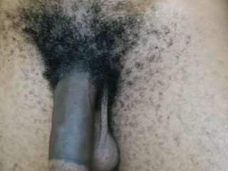 dick-herr7