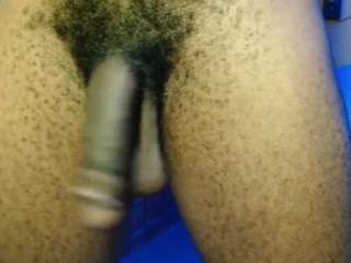dick-herr7