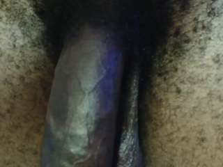 dick-herr7