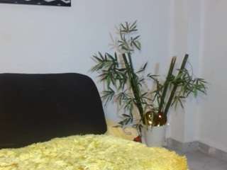 camiosx