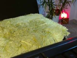 camiosx live webcam show