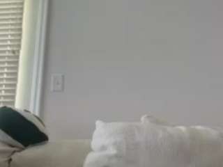 reelraw webcam model