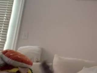 reelraw webcam