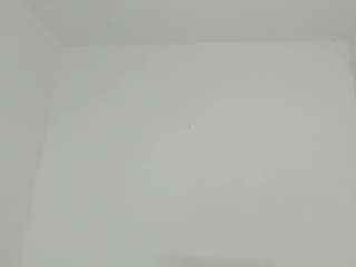 alina-chapman Live Webcam on CamSoda