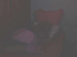 FunHotAss live cam preview