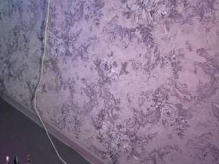 miyakimi0101