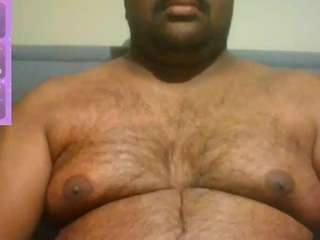 indianbearhot
