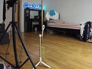 voyeurcam-CelticIRON-01