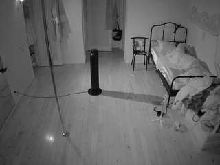voyeurcam-CelticIRON-01