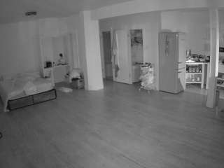 voyeurcam-celticiron-01