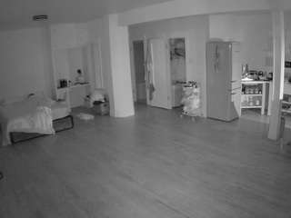 voyeurcam-celticiron-01