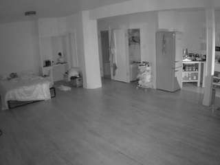 voyeurcam-celticiron-01