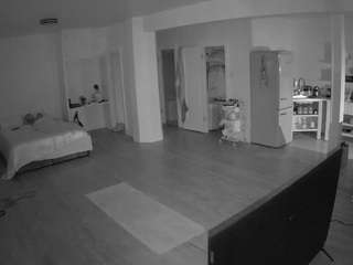 voyeurcam-celticiron-01