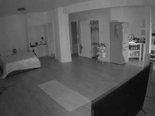 voyeurcam-CelticIRON-01