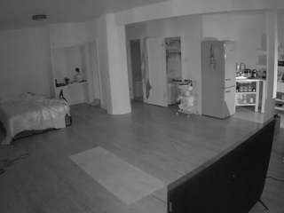 voyeurcam-CelticIRON-01