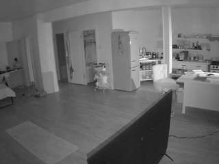 voyeurcam-celticiron-01