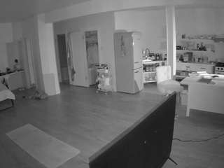 voyeurcam-CelticIRON-01