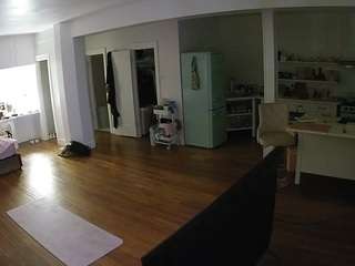 voyeurcam-celticiron-01