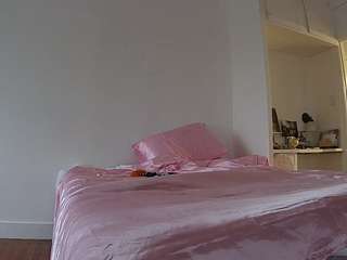 voyeurcam-celticiron-01