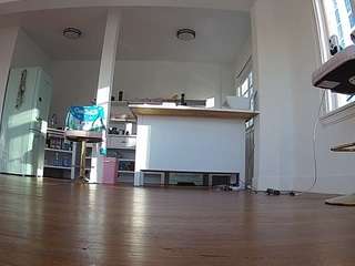 voyeurcam-celticiron-01