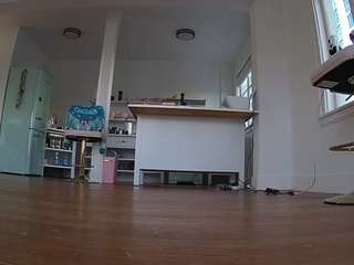 voyeurcam-celticiron-01