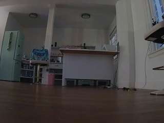 voyeurcam-celticiron-01