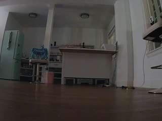 voyeurcam-celticiron-01